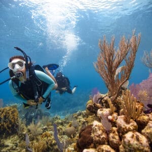 Divers exploring vibrant coral reef underwater.
