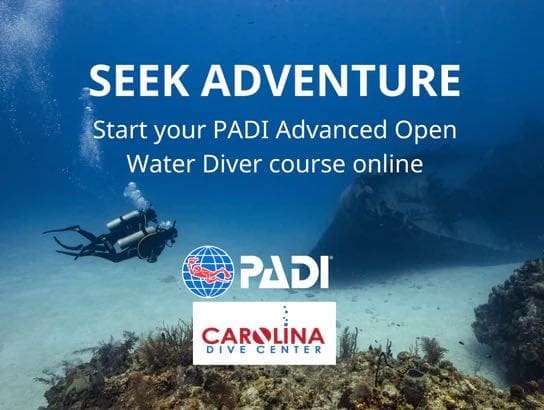 Scuba diver over coral seafloor