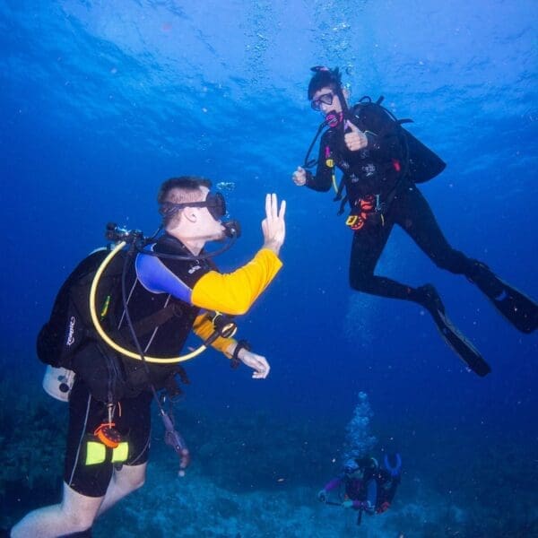 Scuba divers communicating underwater with hand signals.