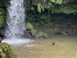 Two people swimming near a waterfall.