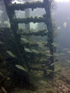 Underwater ladder with fish swimming nearby.