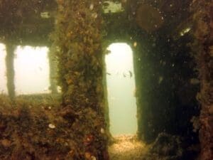 Underwater shipwreck with marine growth.
