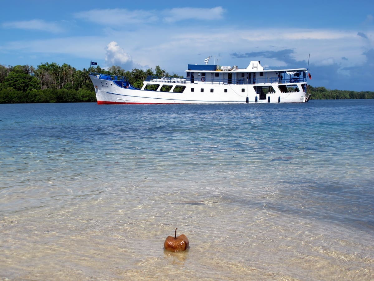 Boat on ocean near beach with coconut.